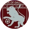 加勒山荣耀FC