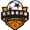 武汉聚星闪耀
