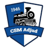CSM阿朱迪