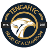 登加FC